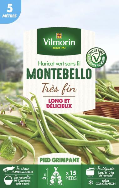 Légumes Secs - Haricot Grimpant Vert Montebello - 5 m  - face recto